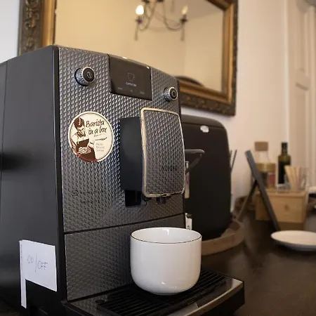 Oak Tree Old Town Krakow