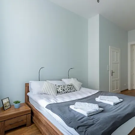 Oak Tree Old Town Kraków