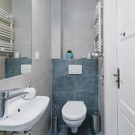 Oak Tree Old Town Krakow